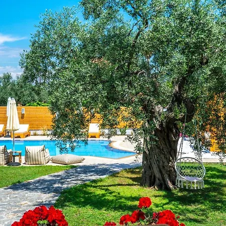 Nefeli Fresh By Del Mare Skala Rachoni (Thasos)